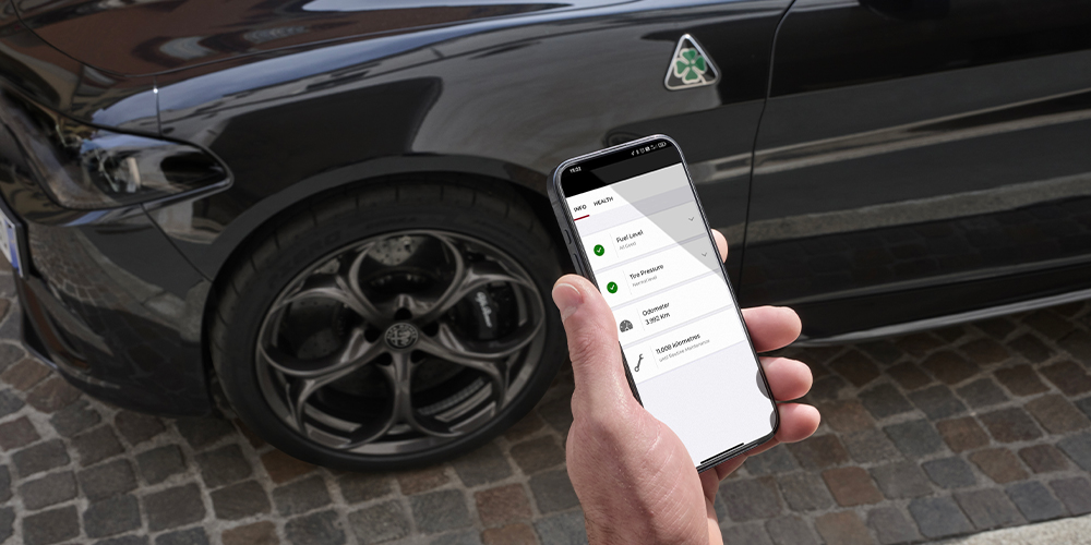 Alfa Connect Services