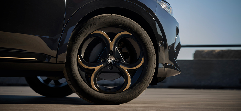 Junior Gallery Slider n.2