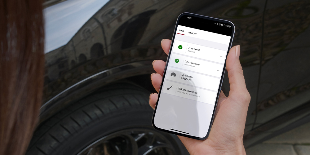 Alfa Connect Services
