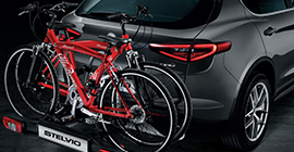 sport pedals